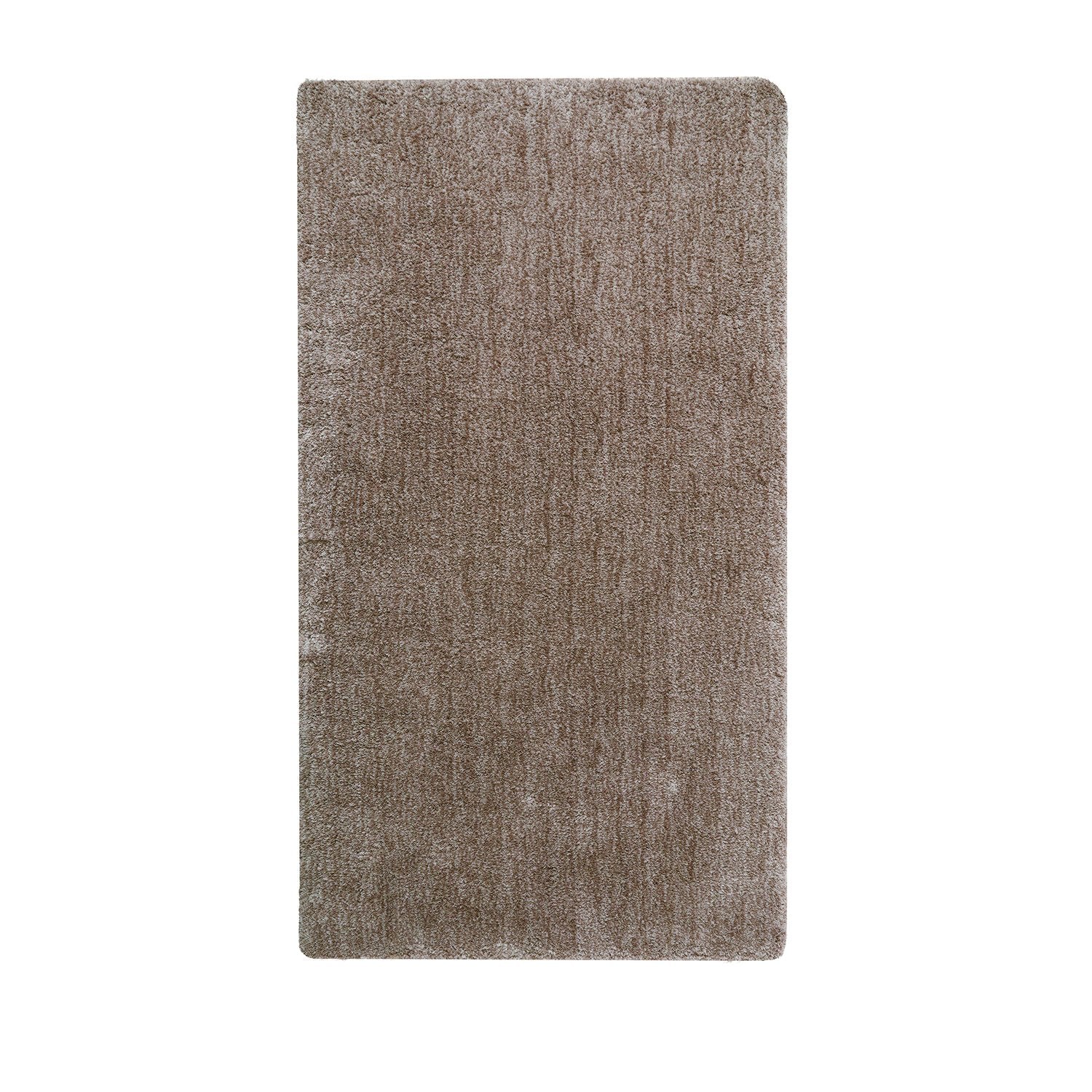 Shaggy Area Rug